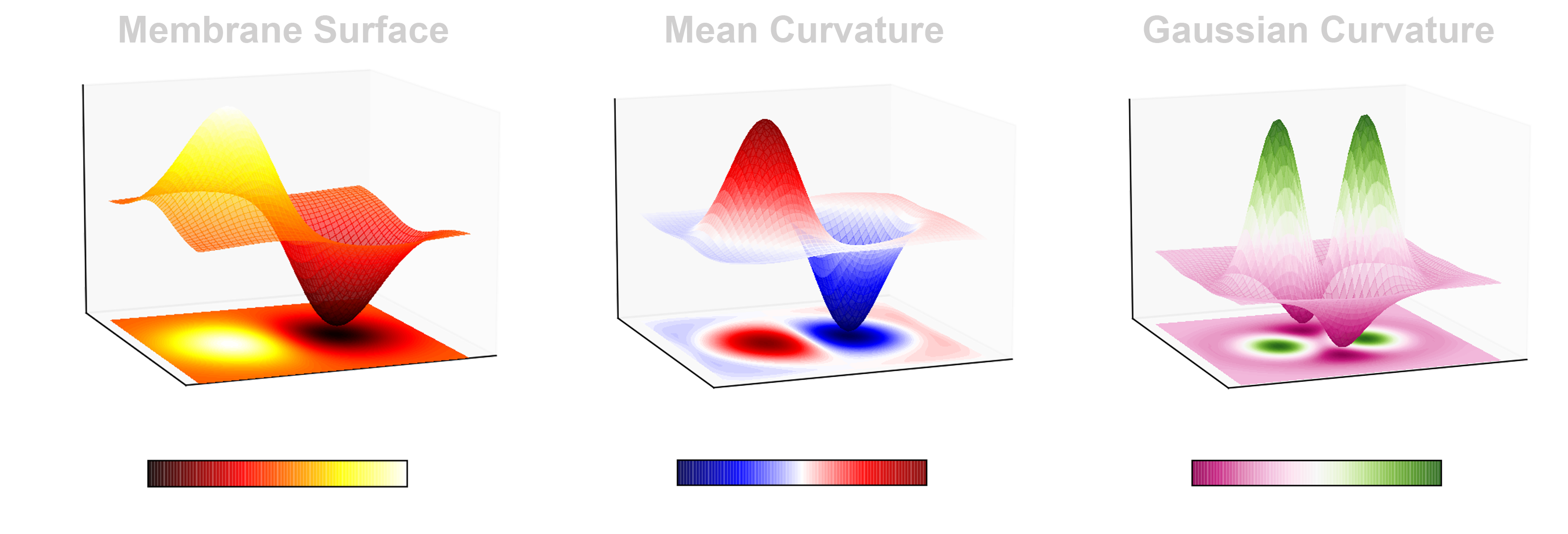 curvature